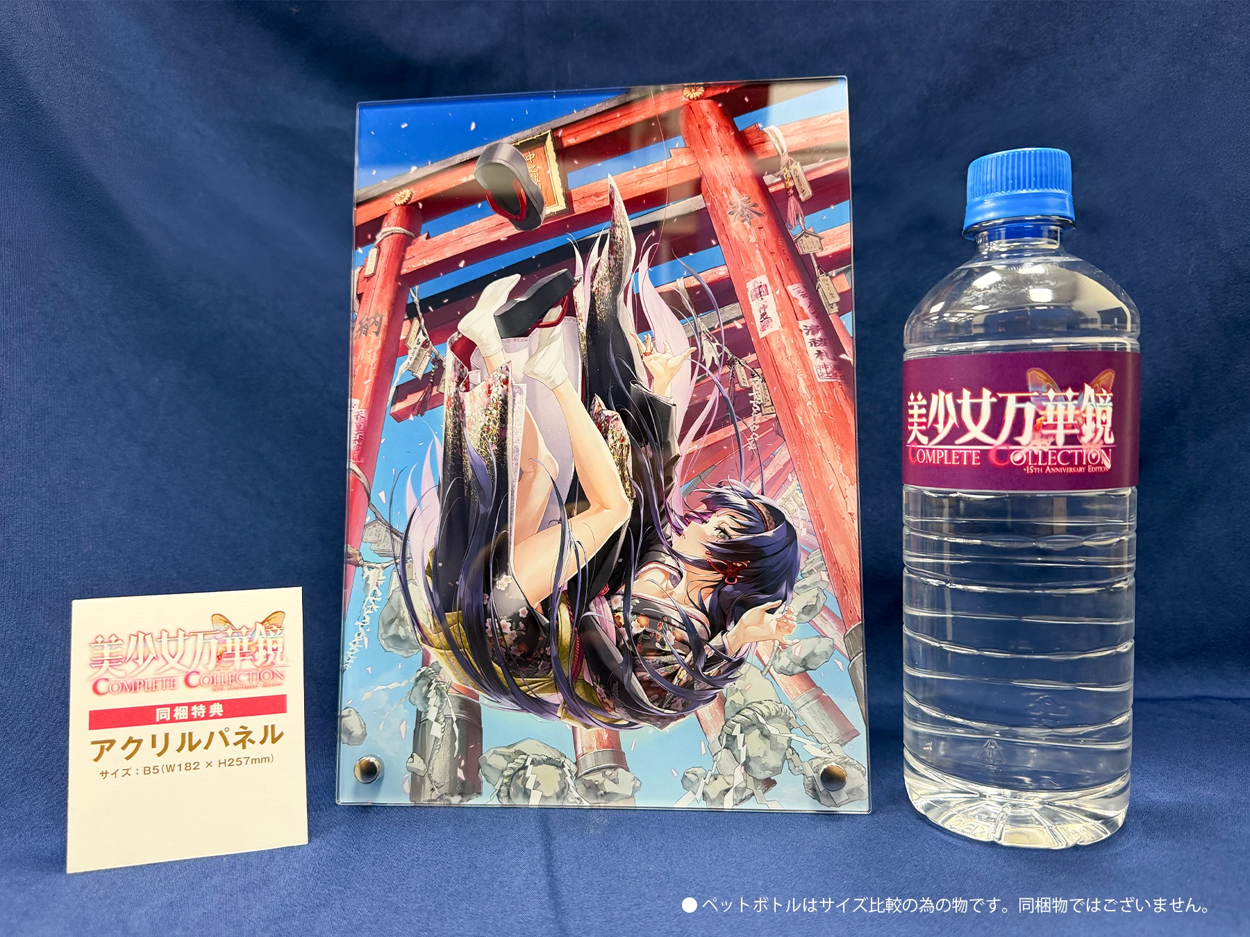 同梱特典アクリルパネル